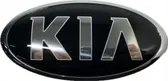 Manufacturer badge logo/emblem