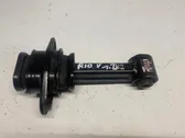 Engine mount vacuum valve