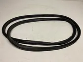 Trunk rubber seal (body)