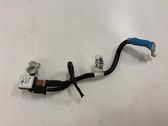 Negative earth cable (battery)