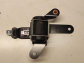 Seat belt trim