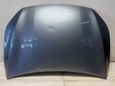 Motorhaube