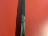 Rear door glass trim molding