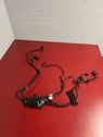 Gearbox/transmission wiring loom