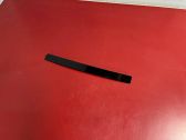 Rear door glass trim molding