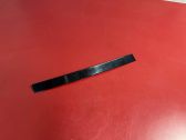 Rear door glass trim molding