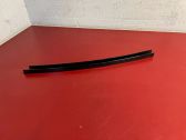 Rear door glass trim molding