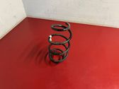 Front coil spring