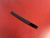 Rear door glass trim molding