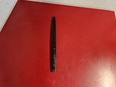 Rear door glass trim molding