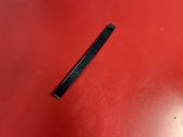 Rear door glass trim molding