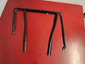 Rear door glass trim molding
