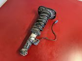 Rear shock absorber/damper