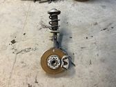 Front wheel hub spindle knuckle