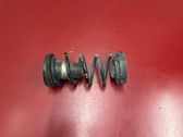 Rear coil spring