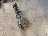 Front wheel hub spindle knuckle