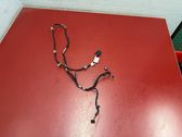 Other wiring loom