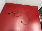 Parking sensor (PDC) wiring loom