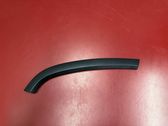 Rear door trim (molding)