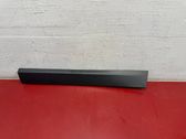 Rear door trim (molding)