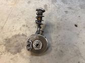 Front wheel hub spindle knuckle