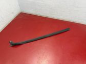 Windshield trim