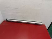 Front door trim (molding)