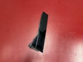Rear door glass trim molding