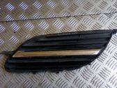 Front grill