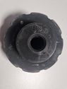 Rear coil spring rubber mount