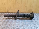 Front shock absorber/damper