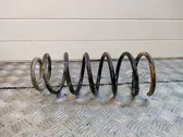 Front coil spring