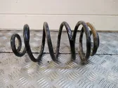 Rear coil spring