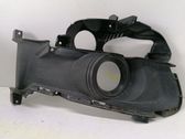 Front fog light trim/grill