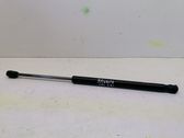 Tailgate/trunk strut/damper