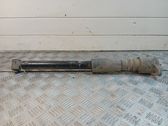Rear shock absorber/damper