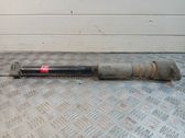 Rear shock absorber/damper