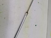 Tailgate/trunk strut/damper