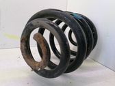Rear coil spring
