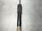 Stoßdämpfer hinten