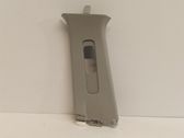 Other sill/pillar trim element