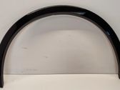 Fender trim (molding)