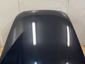 Motorhaube
