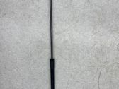 Front bonnet/hood damper/strut