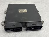 Engine control unit/module ECU