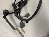 Tailgate/trunk wiring harness