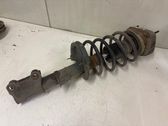 Amortiguador delantero con muelle espiral