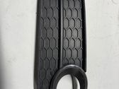 Front fog light trim/grill