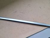 Rear door glass trim molding