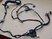 Other wiring loom